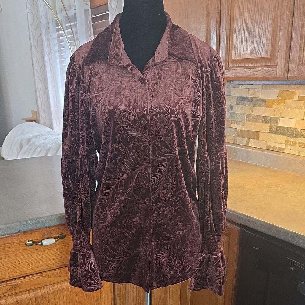 Luxurious Velvet Button Down Shirt in Rich Brown( NWT)